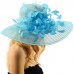 Spectacular Spray Feathers Sinamay Derby Floppy Wide Brim 7" Dress Hat  eb-94517579